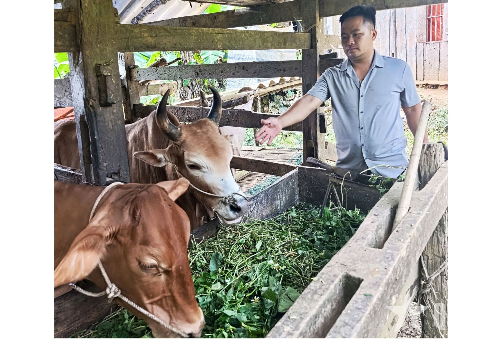 Tạo sinh kế, khơi ý chí thoát nghèo